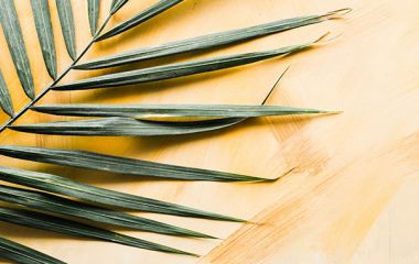 3 причини вибрати фотообої замість фарби для стін