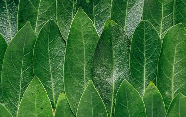 Як клеїти шпалери нахлестом: практичні рекомендації спеціалістів