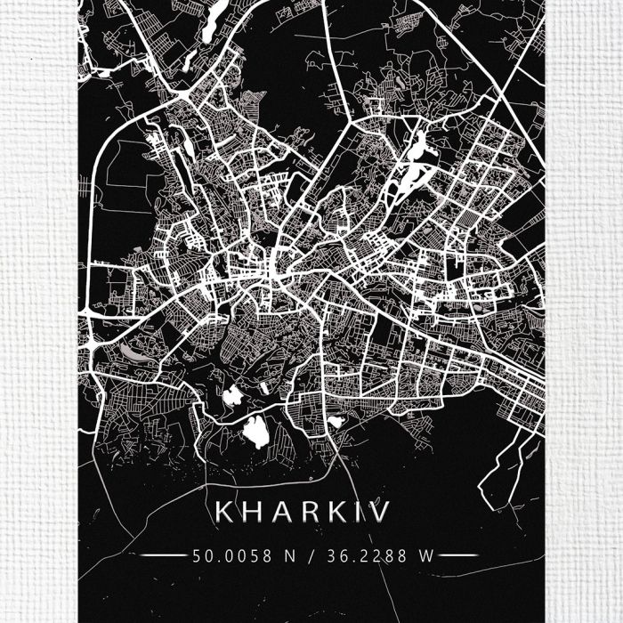 Картина на холсті чорно-біла мапа міста Харків