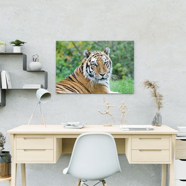 Картина Дикий тигр