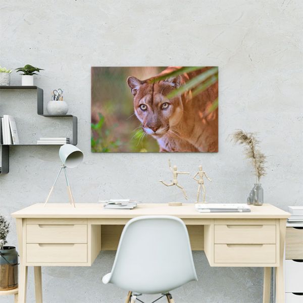 Картина Дика кішка