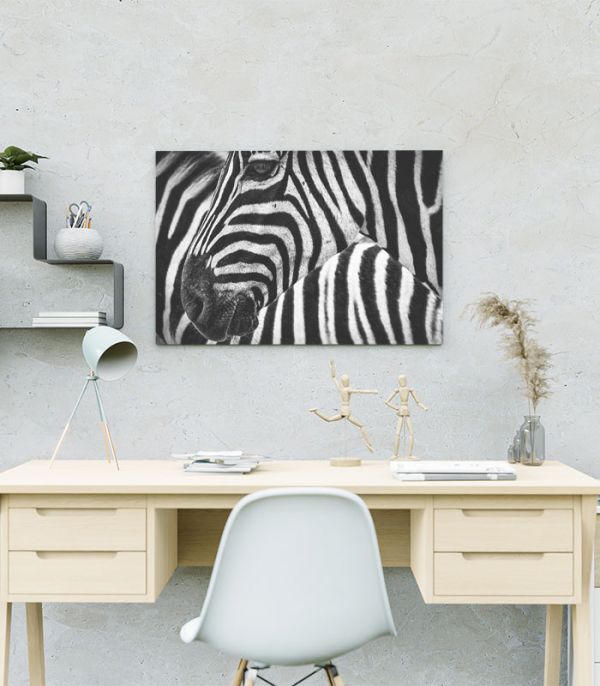 Картина чорно-біла Зебра Картина чорно-біла Зебра