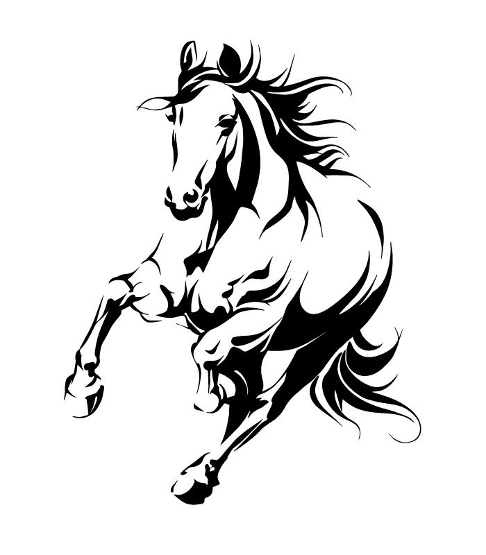 Інтер’єрна наклейка – Кінь скакун