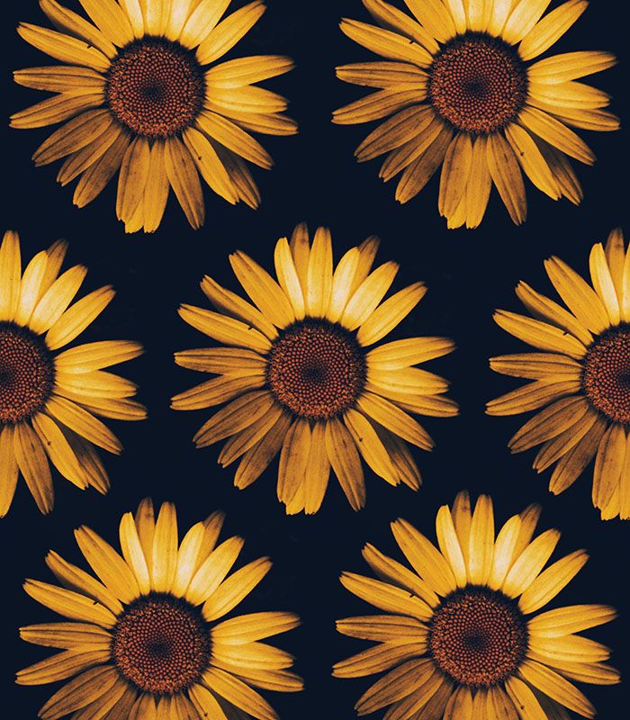 Картина Жовті квіти