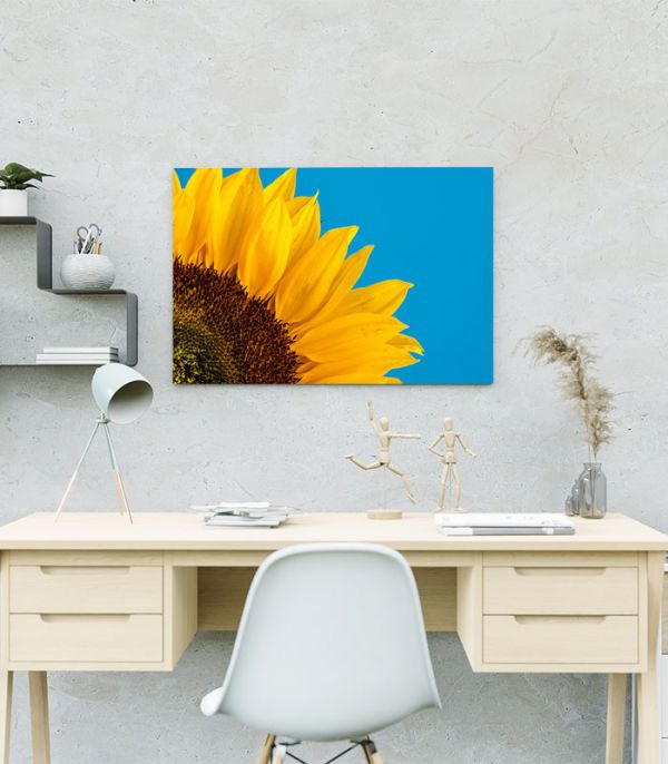 Картина Соняшник Картина Соняшник