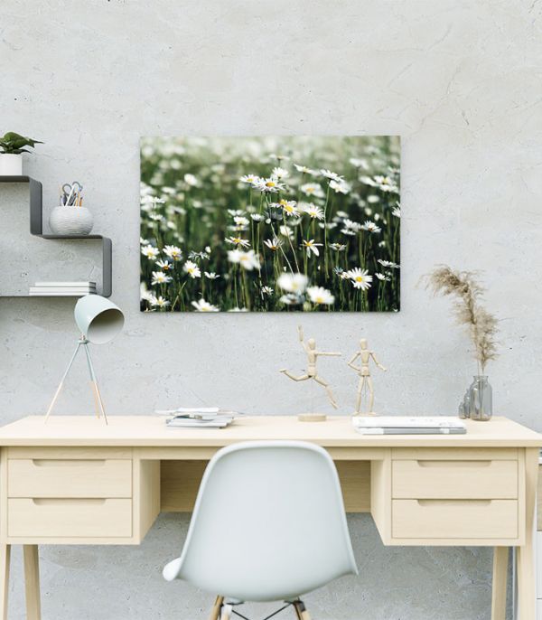 Картина Поле з ромашками Картина Поле з ромашками
