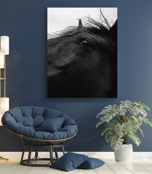 Картина чорний кінь Картина чорний кінь