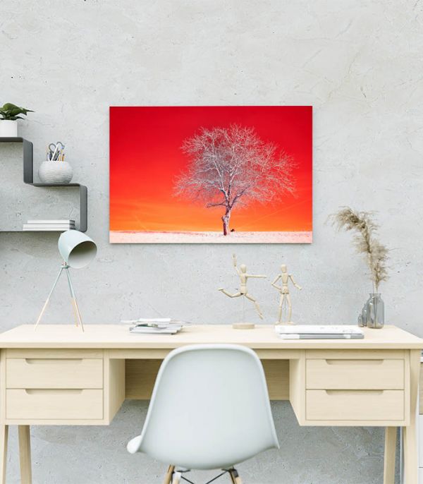 Картина інфрачервоний пейзаж