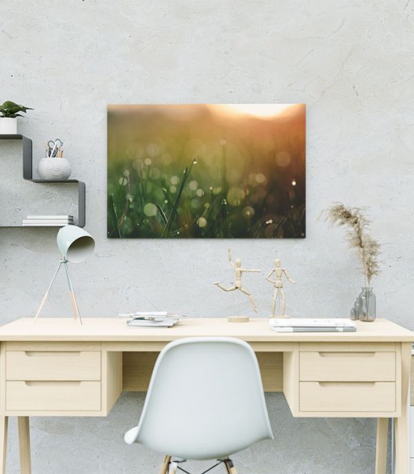 Картина ранкова роса на траві