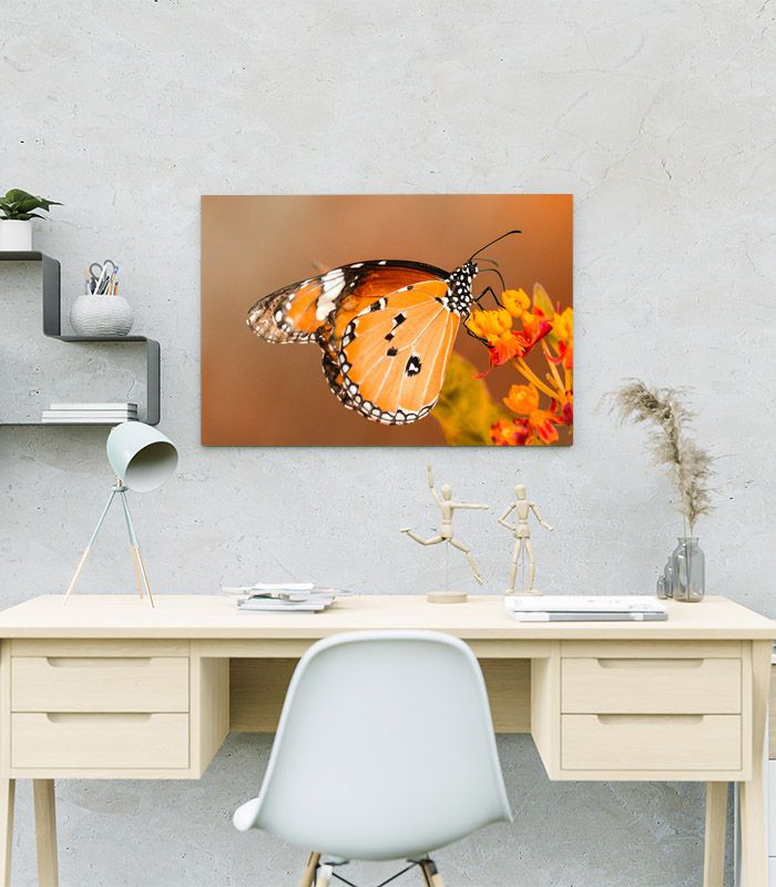 Картина рудий метелик