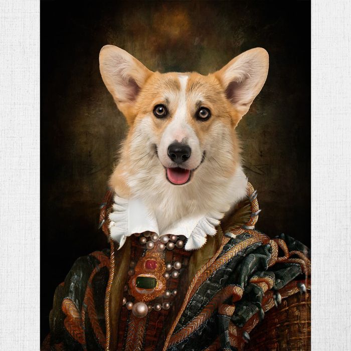 Фотопортрет домашнього улюбленця в лицарському костюмі