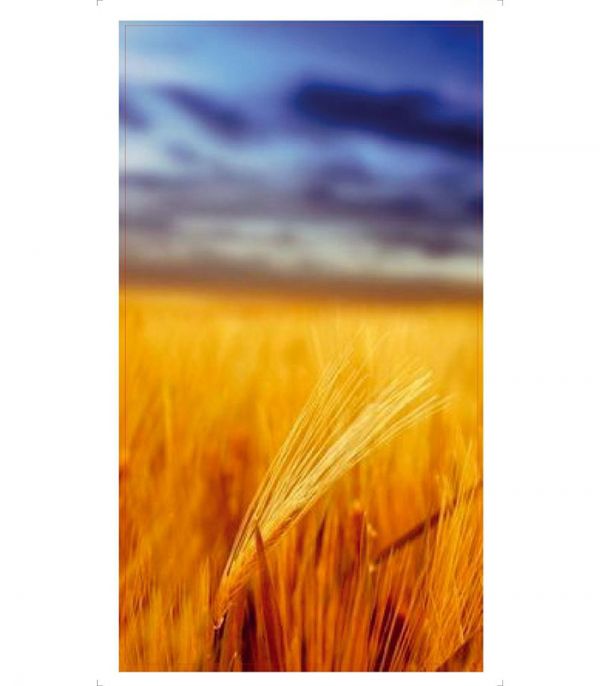 Стікерпак - Байранаклейки №95