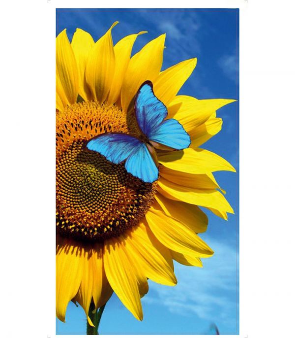 Стікерпак - Байранаклейки №96