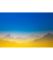 Картина українські кольори природи