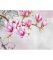 Принт на флізеліні квітуче дерево персика