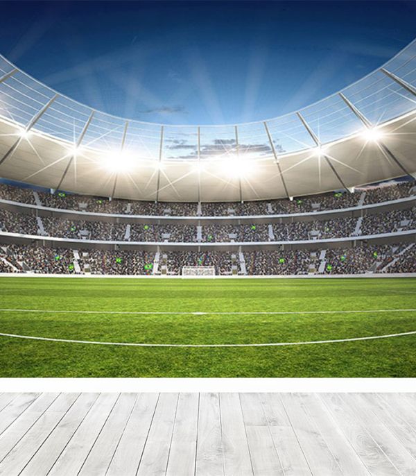 Принт на флізеліні футбольне поле 263х280 см, Паморозь Принт на флізеліні футбольне поле 263х280 см, Паморозь