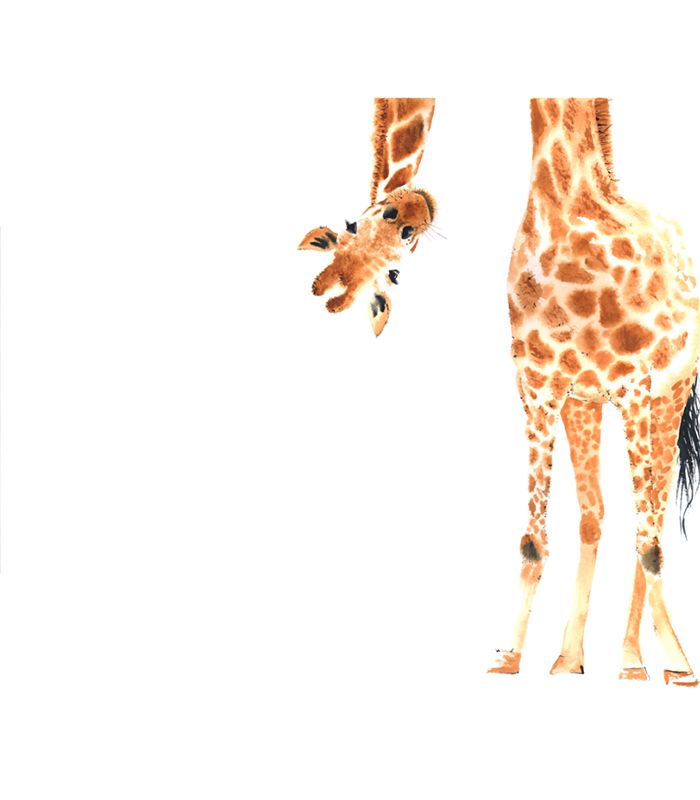 Принт на флізеліні допитлива Жирафа