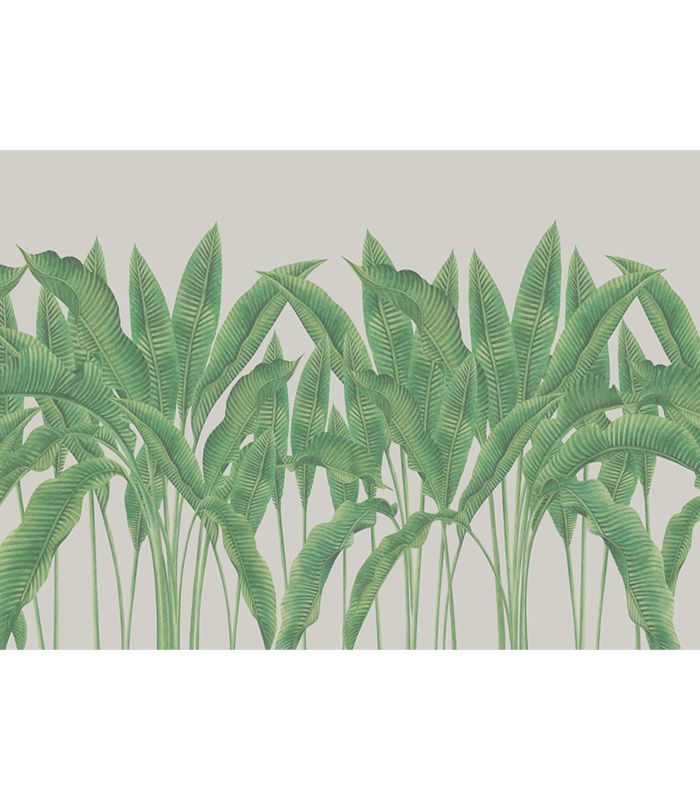 Принт на флізеліні листя зеленого папоротника