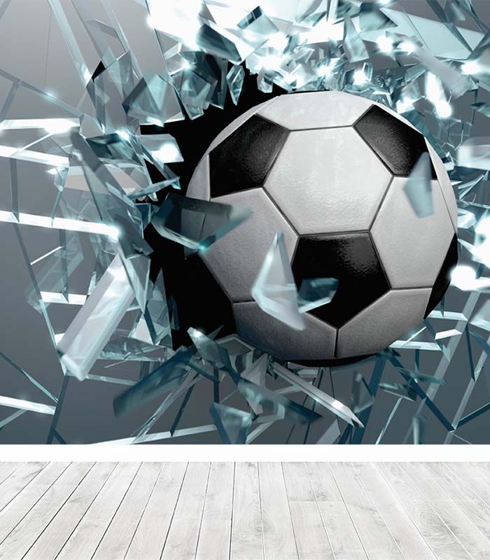 Принт на флізеліні футбольнич м’яч 340х245 см, Дрібний пісок